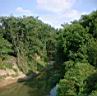 Leon River